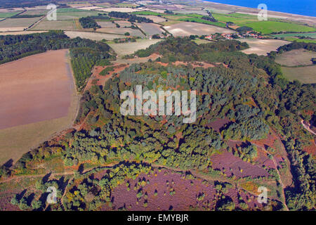 eine Luftaufnahme von Kelling Heath Nature Reserve und Ackerland Norfolk Stockfoto