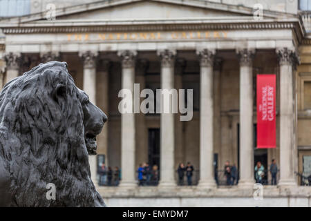 Ein Blick auf den Löwen auf dem Trafalgar Square, mit Blick auf die National Gallery Stockfoto