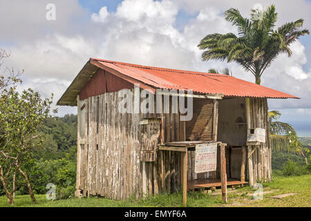 Affe Haus Barbados West Indies Stockfoto