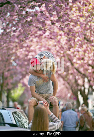 Bonn, Deutschland. 24. April 2015. Sabrina und Fabian aus Köln posieren für Fotos vor blühenden japanischen Kirschbäume in Bonn, Deutschland, 24. April 2015. Foto: Oliver Berg/Dpa/Alamy Live News Stockfoto