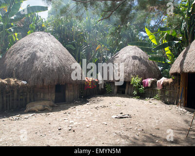 Wamena, Indonesien - 23. Januar 2015: Cottage bedeckt mit trockenen Blätter der Banane im Dani Stamm Dorf. Stockfoto