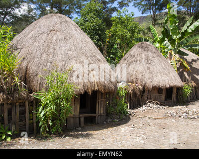 Wamena, Indonesien - 23. Januar 2015: Cottage bedeckt mit trockenen Blätter der Banane im Dani Stamm Dorf. Stockfoto