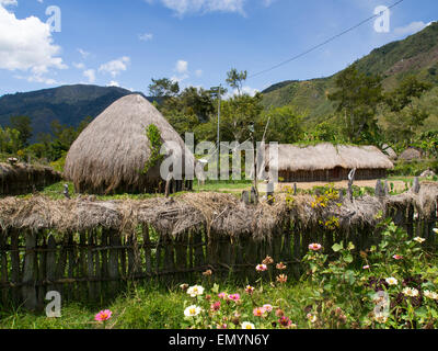 Wamena, Indonesien - 23. Januar 2015: Cottage bedeckt mit trockenen Blätter der Banane im Dani Stamm Dorf. Stockfoto