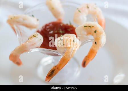 Schöne Rute Krabbencocktail mit pikanten Meerrettichsauce serviert Stockfoto