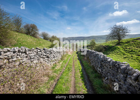 Schmale Land Feldweg in der Nähe von Bradwell in Derbyshire an einem sonnigen Frühlingstag. Kalkwände neben der Spur. Stockfoto