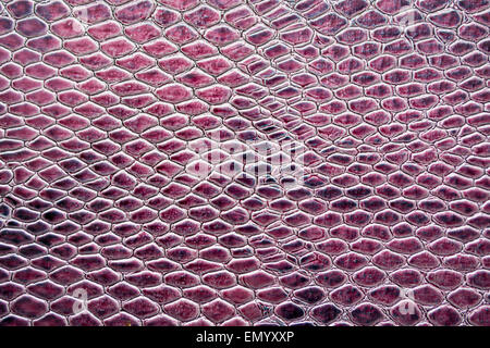 Schlange Haut mit natürlichem Licht in rot und schwarz glänzend Stockfoto