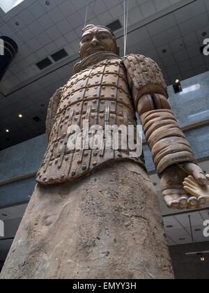 Riesige Terrakottakrieger Hand in Hand mit kleiner Junge Mädchen Puppe schaut nach unten ins Erdgeschoss im Museum Xi-eine Provinz, China Stockfoto