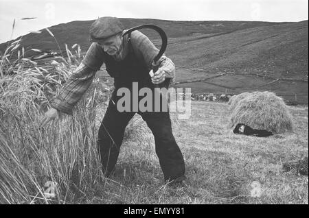 Farmer treffen in Havest in den Feldern und Hügeln in und rund um die Grafschaft Donegal Dorf Glencolmcille Nordirland 7. September 1963 Stockfoto