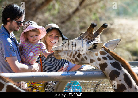 The Living Desert Zoo, Palm Desert, Kalifornien - Februar 05: Touristische Familie Handanlage eine Giraffe in den Zoo, Februar 05 201 Stockfoto