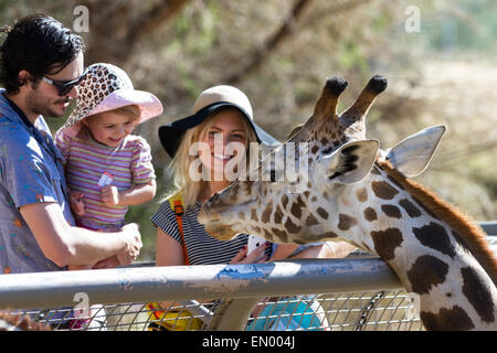 The Living Desert Zoo, Palm Desert, Kalifornien - Februar 05: Touristische Familie Handanlage eine Giraffe in den Zoo, Februar 05 201 Stockfoto