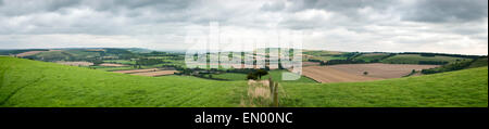 South Downs Blick östlich von kleinen Hügel einschließlich East Meon und Butser Hill Stockfoto