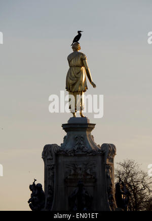 Europa, Großbritannien, England, London, Bushey Park Kormoran Stockfoto