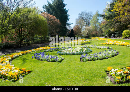 Frühling im Arboretum-Park im Stadtzentrum von Nottingham, Nottinghamshire, England UK Stockfoto