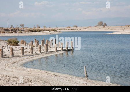 Die Masten eines Piers verließ, was früher der Salton Sea Marina Beach Club. Stockfoto