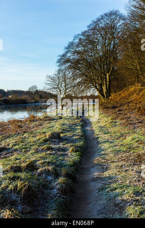 Fluß Dee, Aberdeen mit frostigen Gras- und Eis in den Fluss. Stockfoto