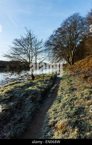 Fluß Dee, Aberdeen mit frostigen Gras- und Eis in den Fluss. Stockfoto