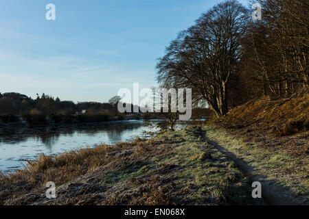 Fluß Dee, Aberdeen mit frostigen Gras- und Eis in den Fluss. Stockfoto