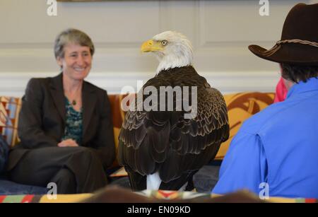 UNS Innenminister Sally Jewell trifft sich mit Al Cecere mit der Gründung der American Eagle und gerettet Weißkopfseeadler Challenger 23. April 2015 in Washington, DC. Ceres ist Lobbyarbeit, um am 20. Juni als American Eagle Tag erstellen. Stockfoto