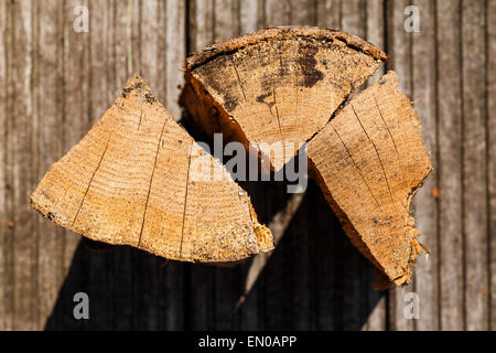 Nahaufnahme von drei Stücke von Scheitholz. Unscharfen Hintergrund, detaillierte Textur des Holzes. Stockfoto