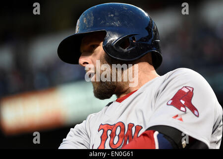 Baltimore, Maryland, USA. 24. April 2015. Boston Red Sox zweiter Basisspieler Dustin Pedroia (15) erwärmt sich während des Hauptliga-Baseball-Spiels zwischen den Boston Red Sox und den Baltimore Orioles im Oriole Park at Camden Yards in Baltimore Maryland statt. Boston Niederlagen Baltimore 7-5. Eric Canha/CSM/Alamy Live-Nachrichten Stockfoto