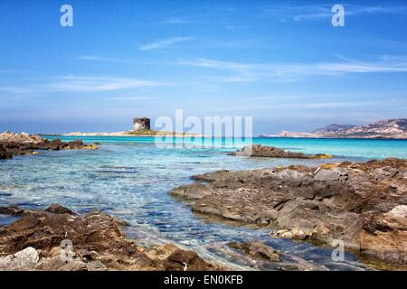 ein Blick auf "La Pelosa" Stintino, Sardinien, Italien Stockfoto