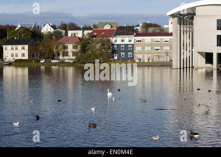 Am Wasser See Tjörnin Reyjkavik Island. Stockfoto