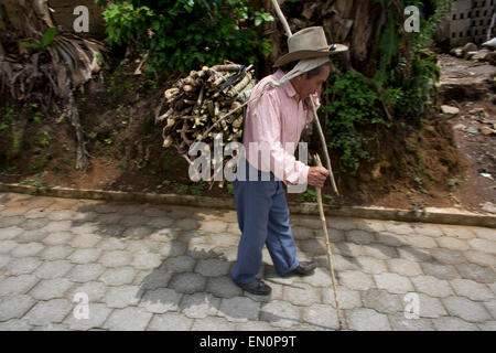 Alter Mann sammeln von Feuerholz in Guatemala Stockfoto