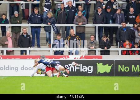 Verkauf, UK. 25. April 2015. Aviva Premiership Rugby. Sale Sharks vs. Harlekine. Eine frühe Versuche für Walker Harlequins. Bildnachweis: Aktion Plus Sport/Alamy Live-Nachrichten Stockfoto