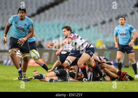 Sydney, Australien. 25. April 2015. Super Rugby.NSW Waratahs im Vergleich zu Melbourne Rebellen. Rebellen Luke Burgess Bestandsplanung den Ball. Die Waratahs gewann 18-16. Bildnachweis: Aktion Plus Sport/Alamy Live-Nachrichten Stockfoto