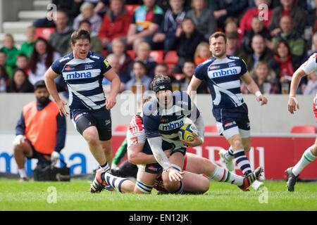 Verkauf, UK. 25. April 2015. Aviva Premiership Rugby. Sale Sharks vs. Harlekine. Sale Sharks Sperre Andrei Ostrikov in Angriff genommen wird. Bildnachweis: Aktion Plus Sport/Alamy Live-Nachrichten Stockfoto