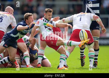 Verkauf, UK. 25. April 2015. Aviva Premiership Rugby. Sale Sharks vs. Harlekine. Harlekine Scrum-Hälfte Danny Care löscht den Ball mit dem Kick. Bildnachweis: Aktion Plus Sport/Alamy Live-Nachrichten Stockfoto