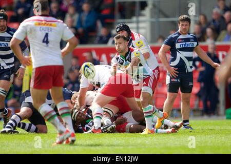 Verkauf, UK. 25. April 2015. Aviva Premiership Rugby. Sale Sharks vs. Harlekine. Harlekine Scrum-Hälfte Danny Care löscht den Ball aus der Ruck. Bildnachweis: Aktion Plus Sport/Alamy Live-Nachrichten Stockfoto