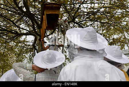 Berlin, Deutschland. 25. April 2015. Imker Rainer erklärt Aspekte seines Berufes für Besucher mit Schutzausrüstung bei Prinzessinengaerten (lit.) Gärten der Prinzessinnen) in Berlin, Deutschland, 25. April 2015. Die Hauptstadt von Deutschland hat rund 4000 Bienenvölkern und 800 bis 1000 Hobby Beekepers. Foto: Britta Pedersen/Dpa/Alamy Live News Stockfoto