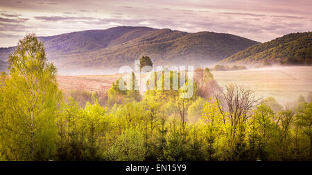Wald und Berge Landschaft der Bieszczady in Polen Stockfoto