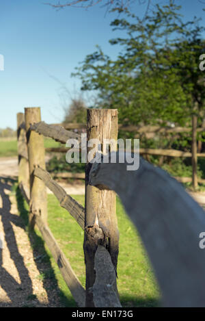 Fechten Stockfoto