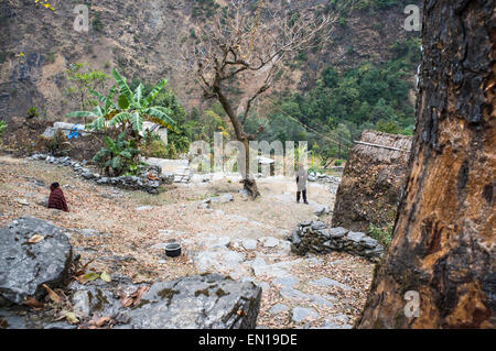 Landhaus im Berg, Bereich der Annapurna Sanctuary, Annapurna Trek, Nepal Stockfoto