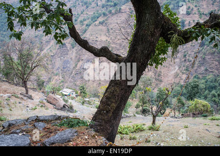 Landhaus im Berg, Bereich der Annapurna Sanctuary, Annapurna Trek, Nepal Stockfoto