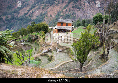 Landhaus im Berg, Bereich der Annapurna Sanctuary, Annapurna Trek, Nepal Stockfoto