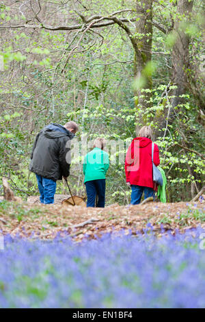 Surrey, UK. 25. April 2015. Alten Simm Wäldchen, Surrey, UK. Eine Familie geht durch das Meer der Glockenblumen Teppichboden Surrey Waldland. Gutes Wetter sah Wanderer und Familien ein Spaziergang durch die Blumen auf den North Downs. April und Mai sind traditionell gute Zeiten um die Blumen zu sehen. Bildnachweis: Dave Stevenson/Alamy Live-Nachrichten Stockfoto