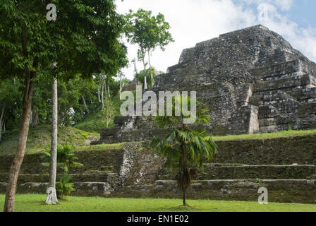 Alte Maya-Pyramide in der Dschungel-Website von Yaxha, Petén, Guatemala Stockfoto