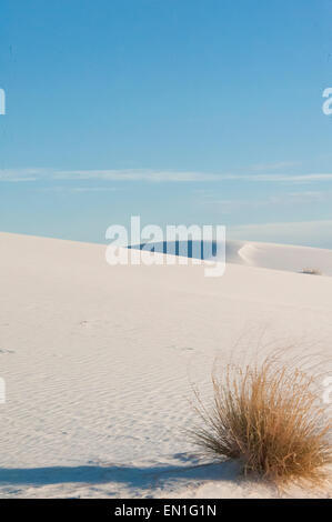 Weiße Sanddünen - White Sands National Monument Stockfoto