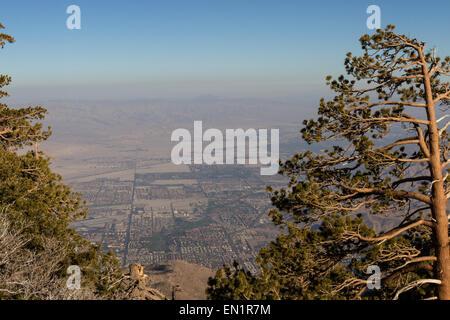 Blick auf das Tal von der Spitze der San Jacinto Mountains in Kalifornien mit einer sehr dichten und dicken Smog-Schicht Stockfoto