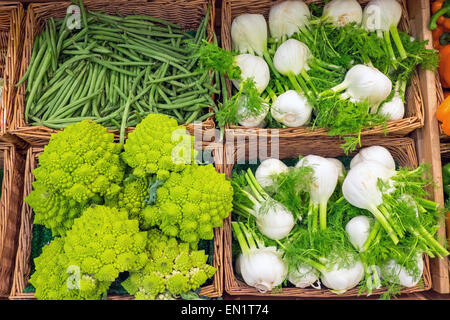 Fenchel und Romanesco Brokkoli zum Verkauf auf dem Markt Stockfoto