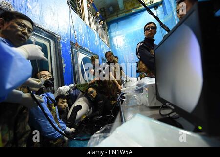 (150426)--HARBIN, 26. April 2015 (Xinhua)--Tierärzte versuchen, einen Ball aus einem Beluga durch ein Gastroskop während eines chirurgischen Eingriffs bei Harbin Sun Asien Polar Park in Harbin, der Hauptstadt des nordöstlichen Chinas Provinz Heilongjiang, 25. April 2015 herausziehen. Eine 7-stündige Operation hier wurde für ein Beluga durchgeführt aber schließlich nicht am Samstag. Die Beluga fand in seinem Magen eine Kugel mit einem Durchmesser von 7 bis 10 Zentimetern, die im Verdacht steht, von der Beluga in freier Wildbahn versehentlich verschluckt werden. Die Operation scheiterte jedoch, den Ball herausgezogen, obwohl Tierärzte Severa gemacht haben Stockfoto