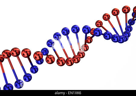 DNA isoliert auf weißem Hintergrund Stockfoto