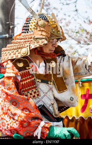 Samurai Krieger aus der Zeit der kriegerischen Staaten, reiten lächelnd, während er in der jährlichen Genji Parade unter Kirschblüten in Tada, Japan reitet. Stockfoto