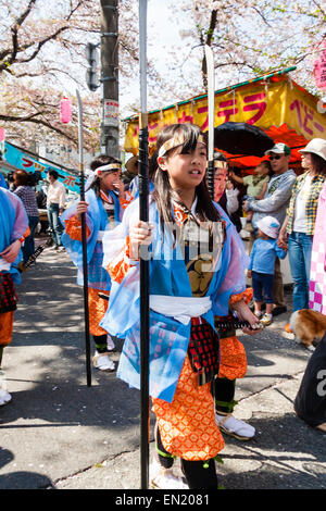 Ein Team von Kindern, Mädchen, die als Shimobe-Soldaten der Heian-Ära verkleidet in der Frühlingsparade unter Kirschblüten in Tada, Japan marschieren. Stockfoto