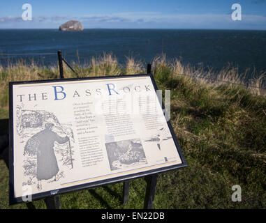 Der Bass Rock, einer Insel im äußeren Teil des Firth of Forth im Osten Schottlands.  Heimat von mehr als 150.000 Basstölpel Stockfoto