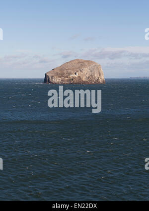 Der Bass Rock, einer Insel im äußeren Teil des Firth of Forth im Osten Schottlands.  Heimat von mehr als 150.000 Basstölpel Stockfoto