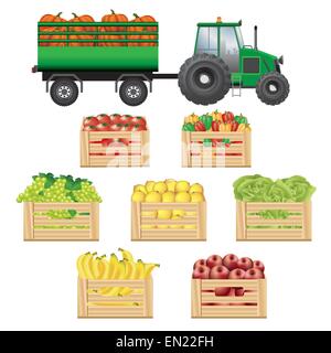 Frisches Obst und Gemüse Lieferung. Vektorgrafik Farbe auf weißem Hintergrund. Stock Vektor